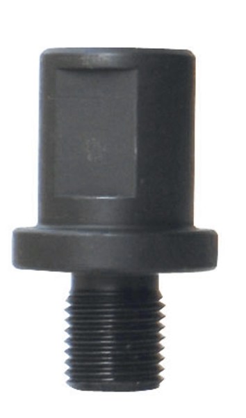 3876020-01.jpg